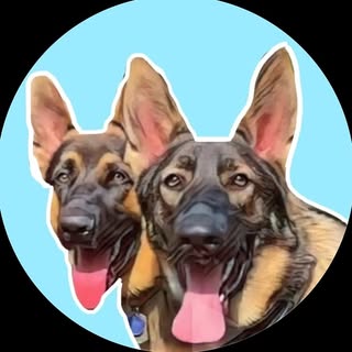 @the.shepherdsiblings